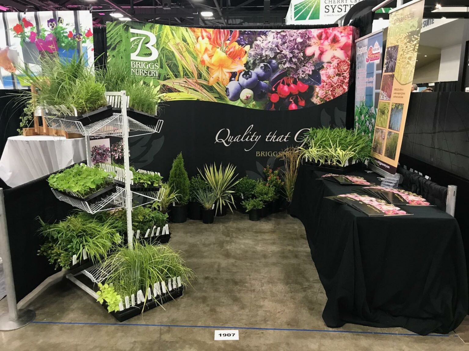 Briggs Nursery Nursery Stock Containers & Liners